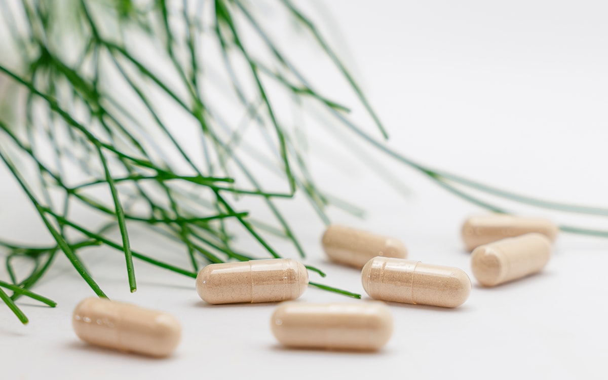 Pelin și cuișoare - ingrediente naturale pentru curățare internă